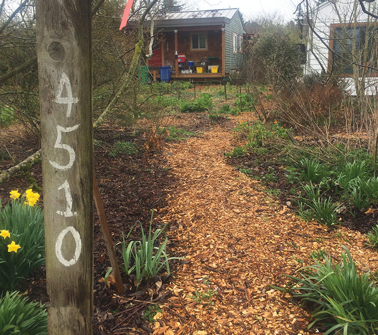 Modeling Urban Homesteading for Climate Resilience in Portland, Oregon